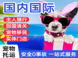朔州滋润空运国际宠物托运 【国